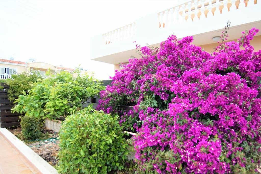 Central Pool-Side 2 Bedroom Apartment In Paphos Exterior foto